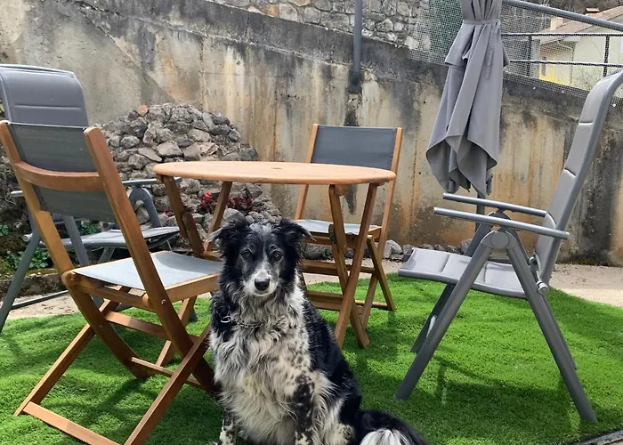 La Casa De La Colonia Feriehus